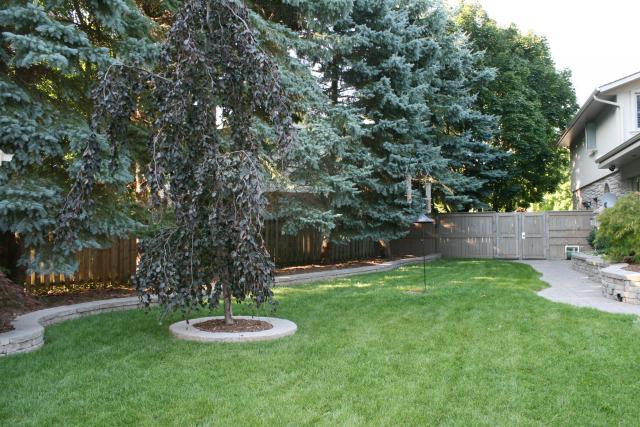 Picture_036.jpg