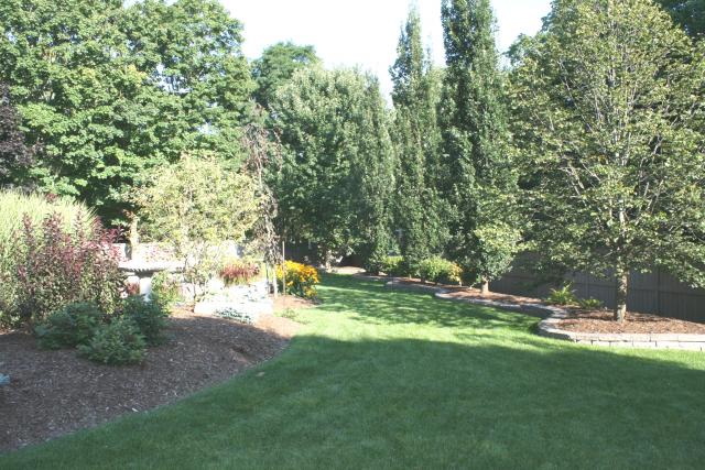 Picture_038.jpg